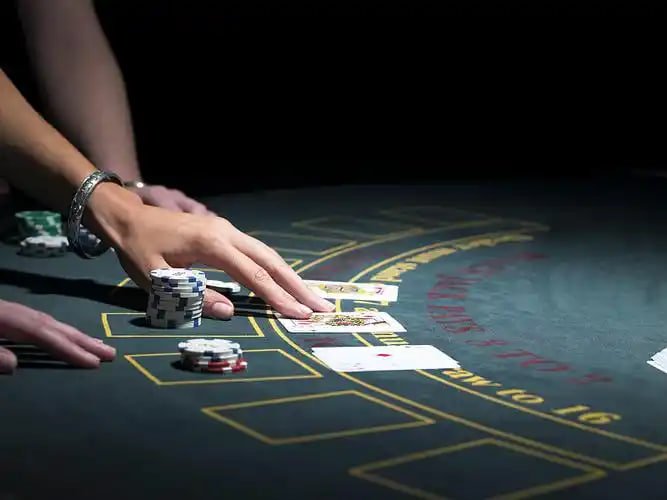 winbet